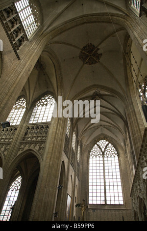 Fenêtre de toit voûté et dans la Collégiale Saint Peter's Church, Grote Markt (place du marché), Louvain, Belgique. (42) Banque D'Images