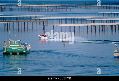 SKI NAUTIQUE ET OYSTER FARM 'BASSIN DE THAU BASSIN' LANGUEDOC FRANCE Banque D'Images