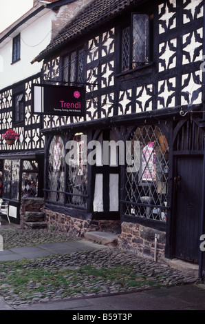 Magasins modernes - tannage, vernis à ongles et beauté - installé dans un classique, au début du 16e siècle en bois bâtiment, Welshpool Banque D'Images