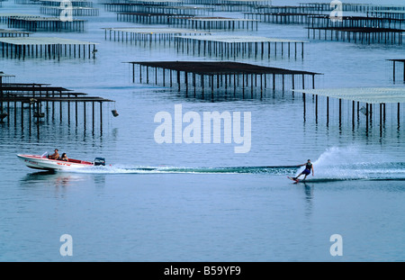 SKI NAUTIQUE ET OYSTER FARM 'BASSIN DE THAU BASSIN' LANGUEDOC FRANCE Banque D'Images