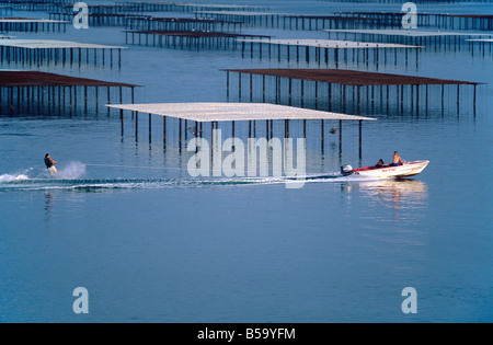 SKI NAUTIQUE ET OYSTER FARM 'BASSIN DE THAU BASSIN' LANGUEDOC FRANCE Banque D'Images