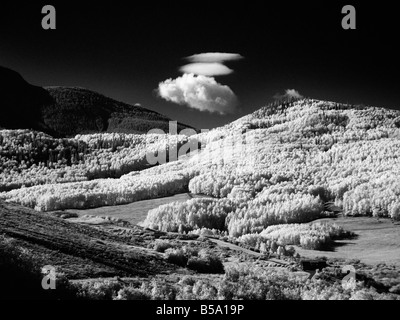 Automne paysage du Colorado dans l'Infrarouge Banque D'Images