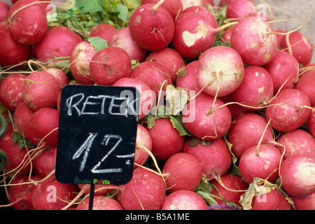 Les radis de taille king à vendre dans un marché à Pecs, Hongrie, Europe Banque D'Images