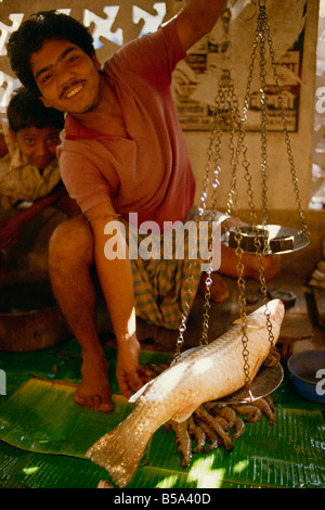 Marché de poissons Kolkata l'État du Bengale-Occidental en Inde Asie Banque D'Images