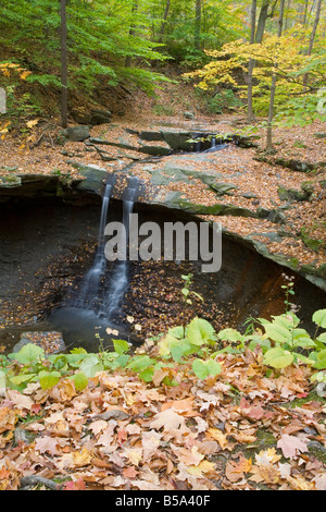 Ohio Boston Blue Hen Falls de Cuyahoga Valley National Park Banque D'Images