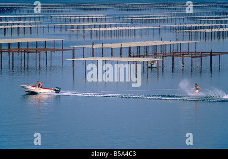 SKI NAUTIQUE ET OYSTER FARM 'BASSIN DE THAU BASSIN' LANGUEDOC FRANCE Banque D'Images