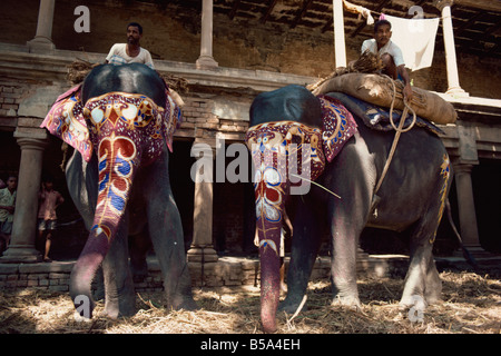 Le Maharajah s éléphants Varanasi Uttar Pradesh Inde Asie Banque D'Images