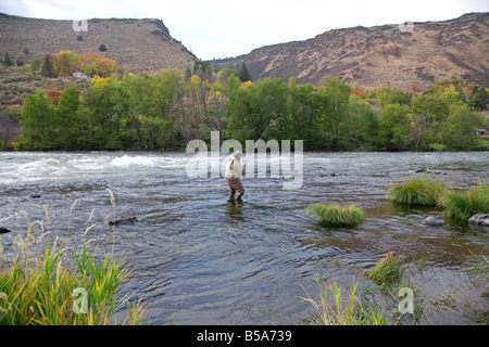 Un pêcheur de mouche jette mouches pour la truite arc-en-ciel sur la rivière Deschutes, près de la ville de Maupin, Oregon, en septembre. Banque D'Images