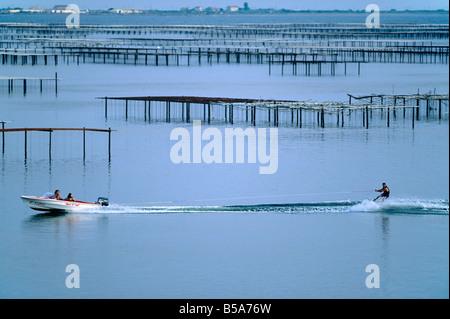 SKI NAUTIQUE ET OYSTER FARM 'BASSIN DE THAU BASSIN' LANGUEDOC FRANCE Banque D'Images