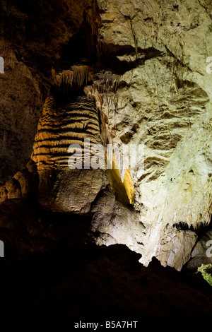 Rock of Ages, Grand Prix - Carlsbad Caverns National Park à New Mexico, USA Banque D'Images