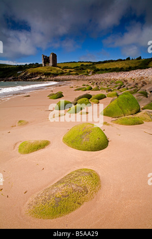 Minnard Beach, Dingle, comté de Kerry, Munster, République d'Irlande, Europe Banque D'Images