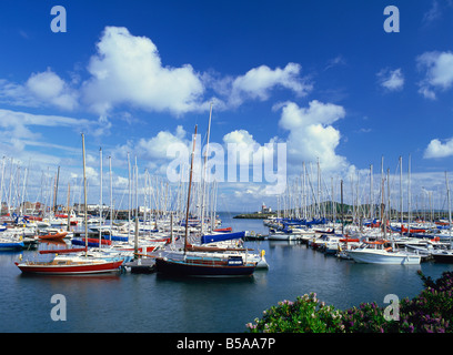 Marina de Howth et phare, port d'évolutions, Howth, République d'Irlande Banque D'Images