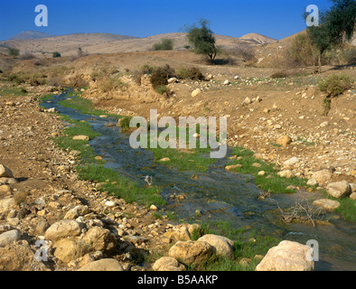 Ruisseau de l'eau à travers du désert de Judée, Israël, Moyen Orient Banque D'Images