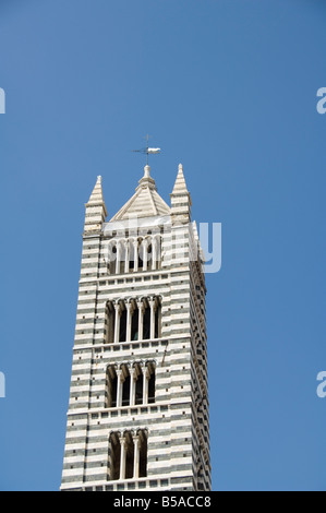 Le Campanile, clocher du Duomo (cathédrale), Sienne, Toscane, Italie, Europe Banque D'Images