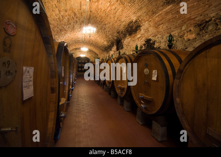 Fûts de vin dans les caves de la Villa Vignamaggio, près de Greve in Chianti, Toscane, Italie, Banque D'Images