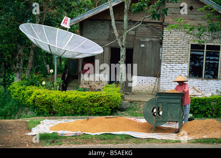 Antenne Satellite et l'homme avec du riz vanner machine, lac Maninjau depuis, Sumatra, Indonésie, Asie du sud-est Banque D'Images