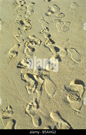 Des empreintes de pas dans le sable sur la plage, Madivaru, Maldives, océan Indien Banque D'Images