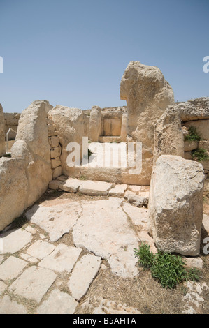 Un temple mégalithique de Mnajdra, construite à la fin du troisième milennium BC, UNESCO World Heritage Site, Malta, Europe Banque D'Images