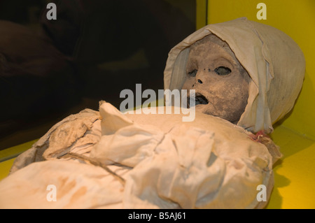 La Momie Museum de Guanajuato, un site du patrimoine mondial, Guanajuato, Guanajuato, Mexique de l'État Banque D'Images