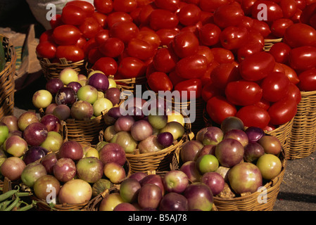 Paniers de légumes et de tomates à vendre dans un marché de la ville de Oaxaca, au Mexique, en Amérique du Nord Banque D'Images