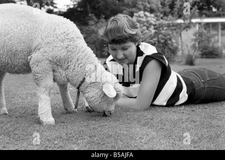 Femme l'alimentation et le toilettage Larry l'agneau. Juin 1980 Banque D'Images