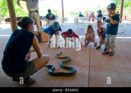 Un ranger de la faune à la Malcolm Douglas Wildlife Park près de Broome montre un python pour les enfants d'olive Banque D'Images