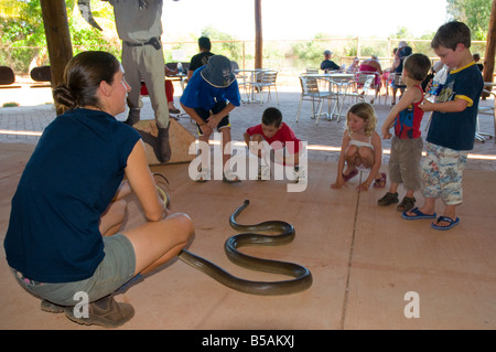 Un ranger de la faune à la Malcolm Douglas Wildlife Park près de Broome montre un python pour les enfants d'olive Banque D'Images