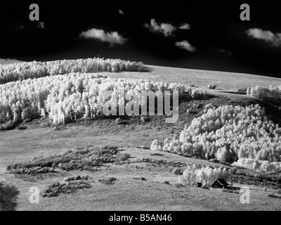 Automne paysage du Colorado dans l'Infrarouge Banque D'Images