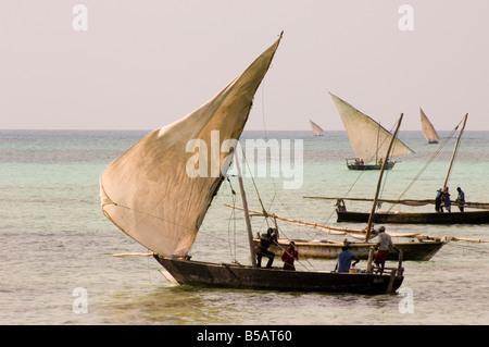 Les boutres de pêche de mettre les voiles dans l'après-midi de Nungwi, Zanzibar Tanzanie Afrique Afrique de l'Est Banque D'Images