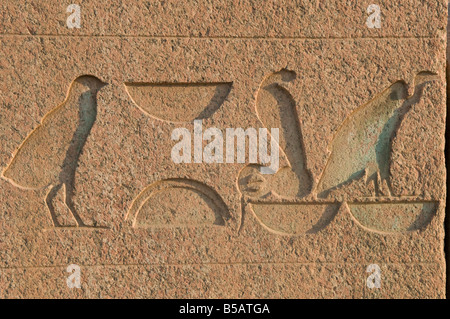 Détail de l'obélisque de granit sculpté dans le complexe de la pyramide inachevée de l'égyptien ancien tombeau royal très prisées de la Ve dynastie Égypte Banque D'Images