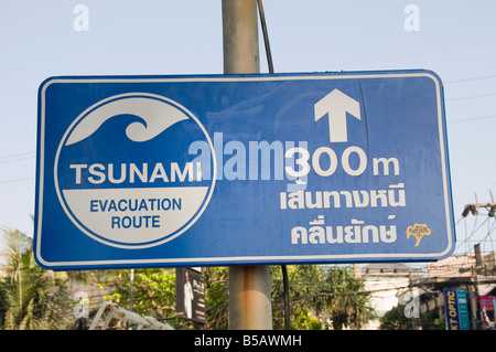 Signe du tsunami qui s'échapper de l'information, Phuket, Thaïlande, Asie du Sud-Est Banque D'Images