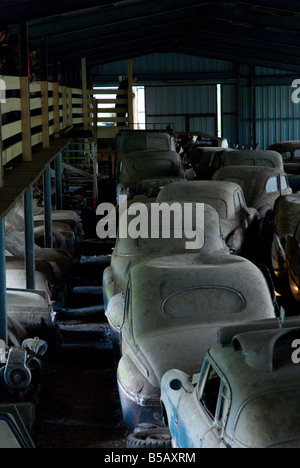 De vieilles voitures dans le shed forment une ligne à la casse Autofriedhof Gurbetal, Kaufdorf, Suisse Banque D'Images