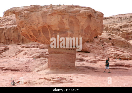 Timna park Israël mushroom Banque D'Images