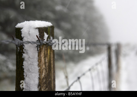 Post-clôture de bois dans la neige et sur la glace avec des barbelés et net grillage en bordure de forêt dans le comté d'Antrim en Irlande du Nord u Banque D'Images