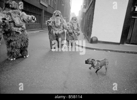 Le Yeti marquer deux - sept pieds de hauteur avec des monstres les yeux, système nerveux, électrique, électronique et rugissements assistée par un brouillard fungoid ont pris plus de Londres pour la série Dr Who. Le Yeti's sont joués par des acteurs Gordon Stothard, John Lord, Colin Warman et John Levene, portant des complets faits de laine et de fourrure de yack avec les yeux qui s'allument.;Notre photo montre : Un moment anxieux pour un boxeur chien quand il rencontre le Yeti's près de la station de métro Goodge Street à Londres. Dec 1967;x11800 Banque D'Images