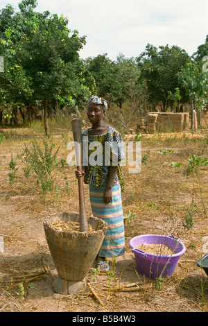 Battre le mil pour la farine, près de Banjul, Gambie, Afrique de l'Ouest, l'Afrique Banque D'Images