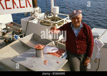 Vendeur de crevettes sur son bateau dans le port Kristiansund Norvège Scandinavie Europe Banque D'Images