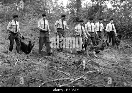 Les équipes de chiens de police recherchez woodlands, près de la maison de Claire Hutchison qui manque à Farnham, Surrey. Juin 1980 &# 13 ;&# 10 ; Banque D'Images