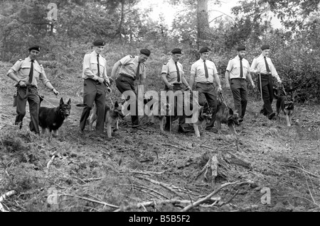 Les équipes de chiens de police recherchez woodlands, près de la maison de Claire Hutchison qui manque à Farnham, Surrey. Juin 1980 &# 13 ;&# 10 ; Banque D'Images