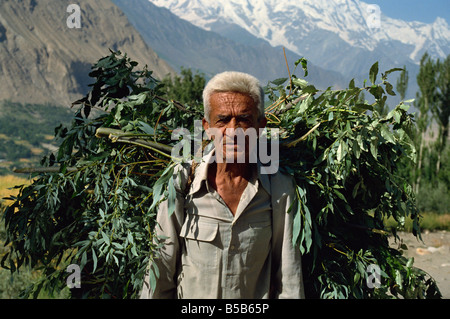 Agriculteur transportant une charge lourde, Hunza Valley, au Pakistan Banque D'Images