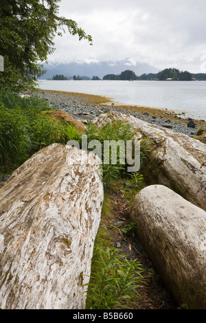 Sciage et rochers parsèment le canal de l'Est littoral en face d'une montagne de Sitka, Alaska Banque D'Images