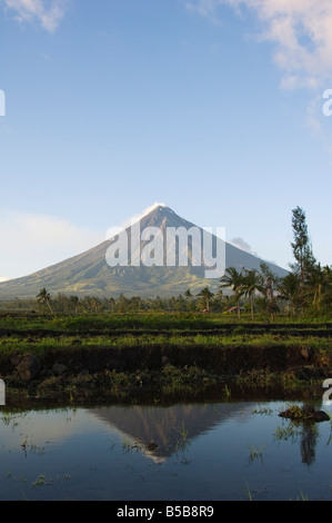 Le mont Mayon, volcan presque parfait cône avec panache de fumée reflétée dans les rizières, Province de Bicol, Luzon, Philippines Banque D'Images