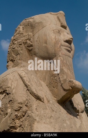 Le sphinx d'albâtre géant à l'extérieur du temple de Ptah de Memphis, qui en était l'ancienne capitale de l'Inebu-hedj, le premier nome de Basse Égypte. Banque D'Images