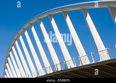 Puente de la Exposicion conçu par le célèbre architecte Valencien Santiago Calatrava. Valencia Espagne Banque D'Images