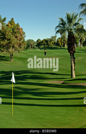 Palm Springs CA California Desert Springs Golf Course JW Marriott Resort & Spa à Palm Desert palm de l'eau reflets d'arbres Banque D'Images