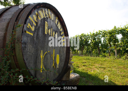 Jeruzalem vignobles, Mura (Pomurje), Slovénie, Europe Banque D'Images