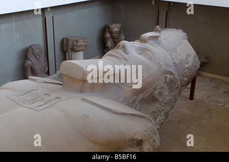 La gigantesque statue en pierre calcaire sculpté de Ramsès II dans le musée en plein air à Memphis, l'ancienne capitale de l'Aneb-Hetch, le premier nome de Basse Égypte Banque D'Images