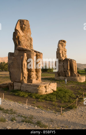 Les colosses de Memnon, qui sont deux énormes statues de pierre représentant le Pharaon Amenhotep III faits de blocs de grès quartzite près de Louxor, Egypte Banque D'Images