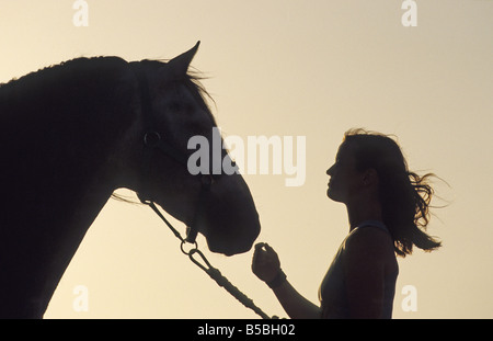 Cheval andalou (Equus caballus) Silhouette d'une jeune femme tenant un cheval sur une patte Banque D'Images