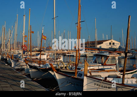 Dans la soirée, le port de Puerto Pollensa, Majorque, Iles Baléares, Espagne, Méditerranée, Europe Banque D'Images